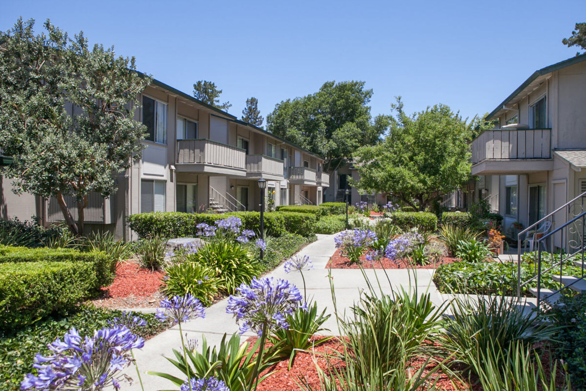 Apartments in Campbell CA Campbell West